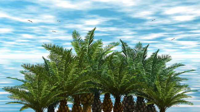 Обои картинки фото 3д, графика, nature, landscape, природа, пальмы