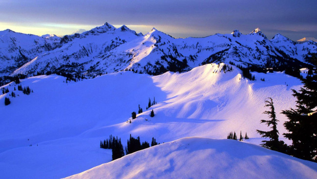 Обои картинки фото природа, горы, снег, деревья, закат