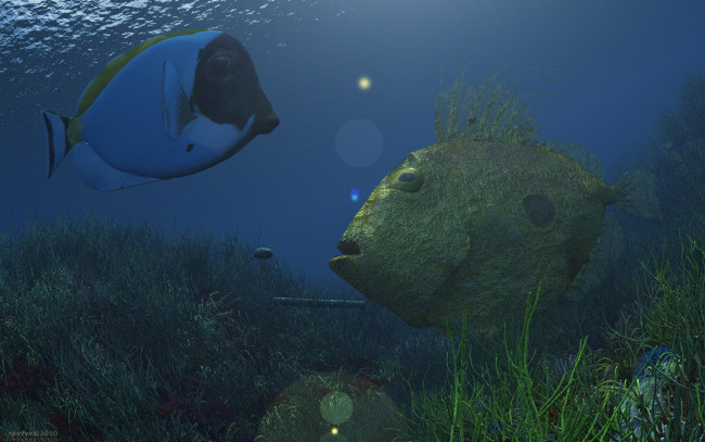 Обои картинки фото 3д графика, животные , animals, рыбы, море