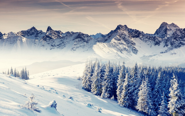 Обои картинки фото природа, горы, снег, зима, закат, вечер, деревья, лес