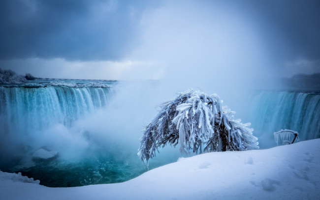 Обои картинки фото природа, водопады, водопад, зима, снег, дерево