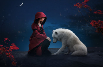 Картинка фэнтези фотоарт девочка плащ красный волк белый друзья сказка ночь животное