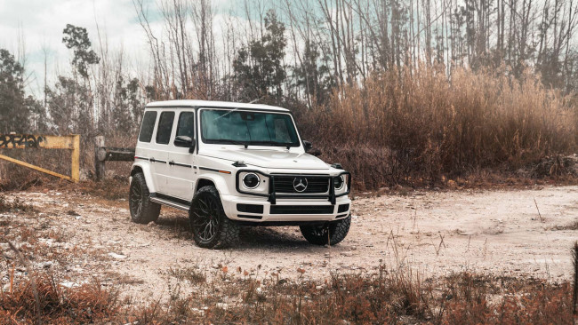 Обои картинки фото автомобили, mercedes-benz, g550