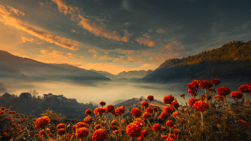 Картинка природа пейзажи лето небо облака свет цветы горы туман рассвет