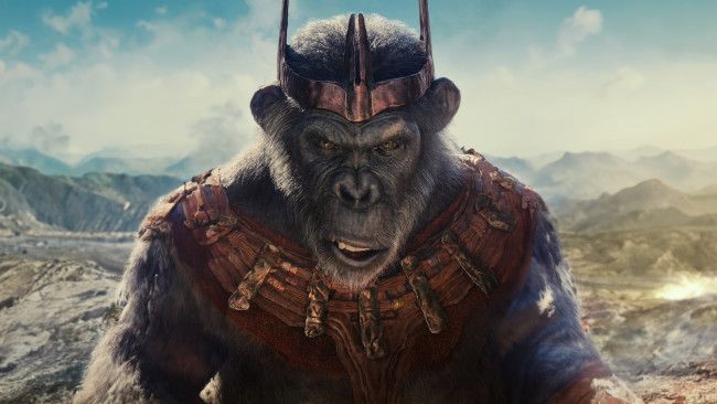 Обои картинки фото kingdom of the planet of the apes  ,  2024 , кино фильмы, kingdom of the planet of the apes, планета, обезьян, новое, царство, фантастика, боевик, kevin, durand, proximus, caesar