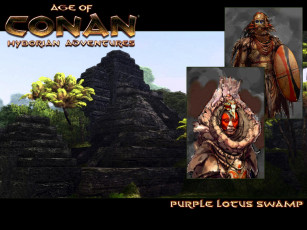 Картинка age of conan hyborian adventures видео игры