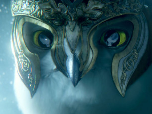 Картинка легенда стражах мультфильмы legend of the guardians owls ga’hoole