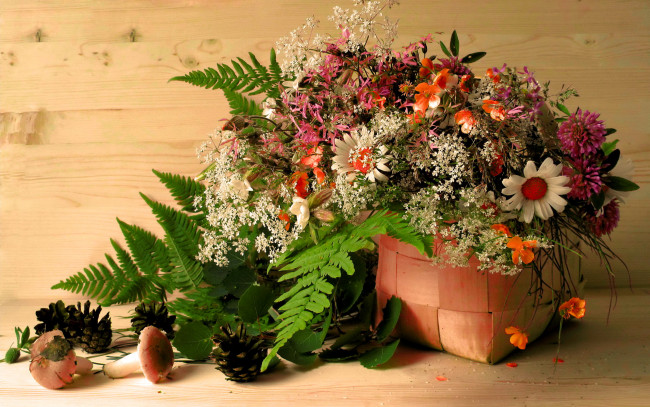 Обои картинки фото цветы, луговые, полевые, грибы, папоротник, шишки, корзина