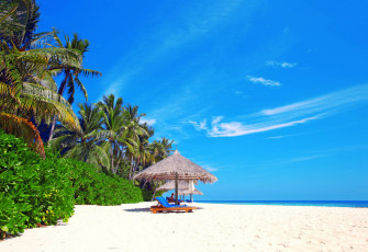 Картинка природа побережье тропики остров океан песок пляж берег солнце море