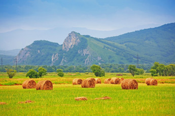 Картинка природа поля сено поле горы