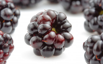 Картинка еда ежевика blackberries ягоды аппетитно