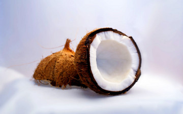 Картинка еда кокос белый фон