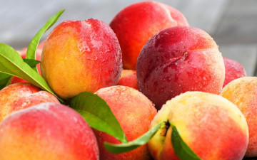 Картинка еда персики +сливы +абрикосы фрукты нектарин листья