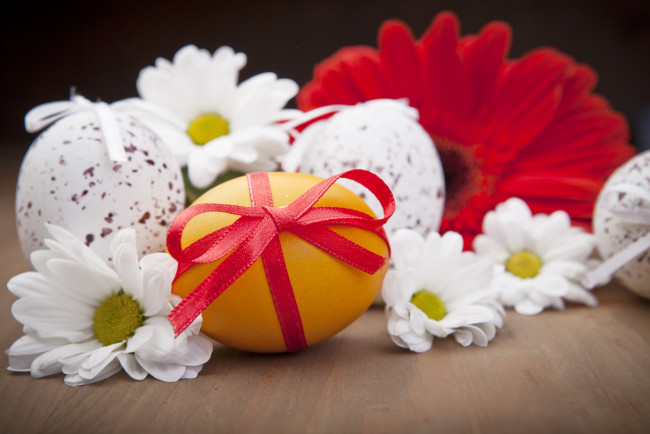 Обои картинки фото праздничные, пасха, цветы, яйцо, праздник
