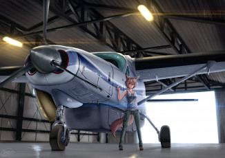 Картинка аниме оружие +техника +технологии хвост ушки самолёт девушка арт dreadtie