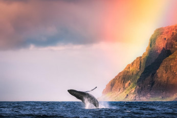 Картинка животные киты +кашалоты горы берег кит океан