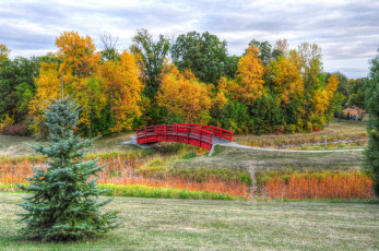 Картинка природа парк небо трава деревья мост осень