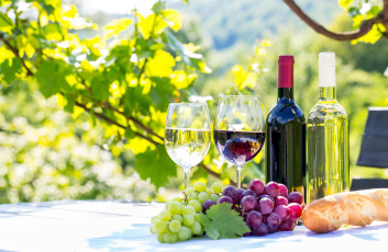 Картинка еда напитки +вино бокалы бутылки виноград