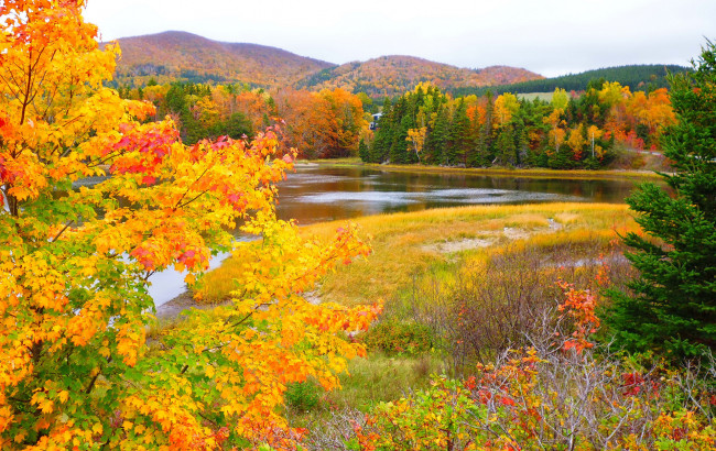 Обои картинки фото природа, реки, озера, осень, деревья, листья, небо, река, лес, горы