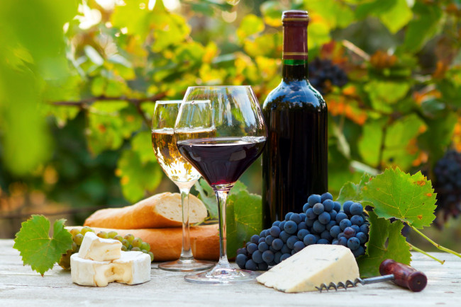 Обои картинки фото еда, напитки,  вино, багет, виноград, сыр, бокалы, бутылка