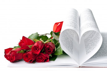 Картинка цветы розы книга красный