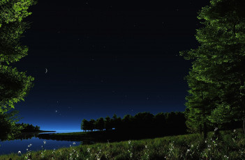 Картинка 3д+графика природа+ nature трава цветы деревья месяц звёзды небо ночь