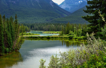 Картинка природа реки озера канада живописный национальный парк вуд-баффало