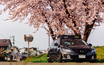 Картинка автомобили mazda