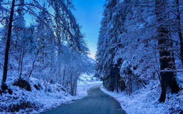 обоя природа, дороги, деревья, снег