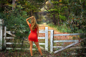 Картинка девушки -+блондинки +светловолосые блондинка дорога лес красное платье мини