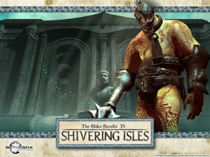 Картинка the elder scrolls iv shivering isles видео игры
