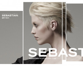 Картинка бренды sebastian