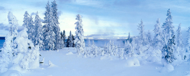Обои картинки фото природа, зима