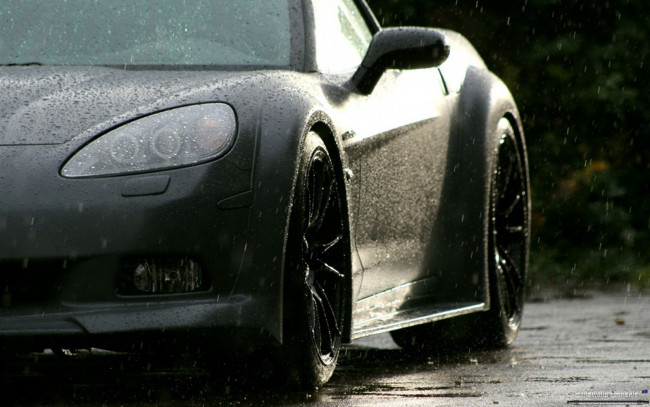 Обои картинки фото corvette, c6, black, force, one, rear, автомобили, фрагменты, автомобиля