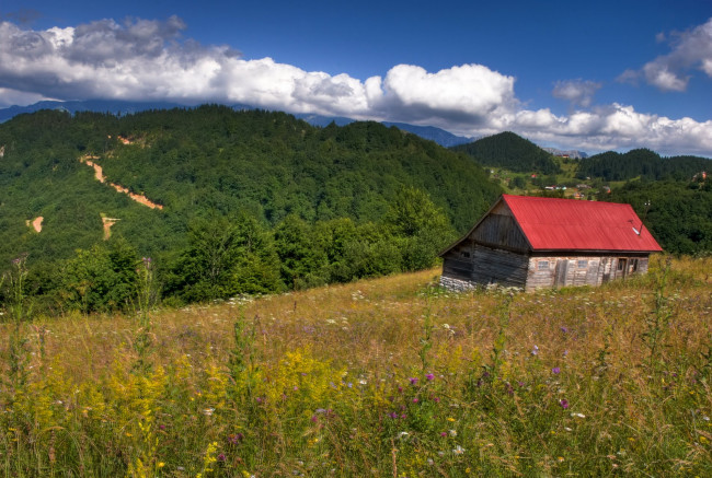 Обои картинки фото разное, сооружения, постройки, румыния, брашов