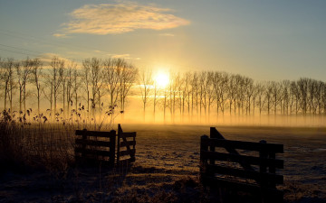 Картинка природа восходы закаты поле изгородь деревья туман солнце