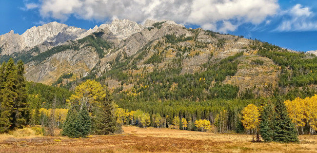Обои картинки фото banff, national, park, alberta, canada, природа, горы, альберта, канада, осень, лес, деревья, банф