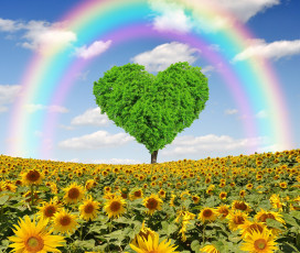 Картинка разное компьютерный+дизайн spring heart поле подсолнухи дерево весна tree meadow field love rainbow сердце