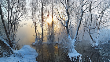 Картинка природа зима деревья туман снег