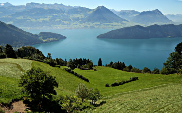Картинка природа реки озера lake lucerne озеро луга поля горы швейцария