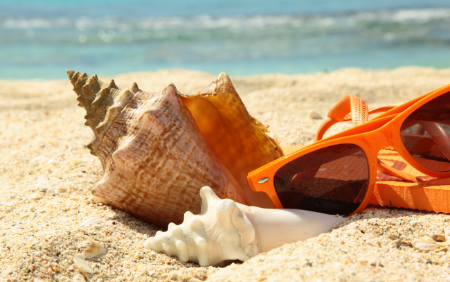 Обои картинки фото разное, ракушки,  кораллы,  декоративные и spa-камни, лето, glasses, очки, ракушка, vacation, sun, accessories, песок, beach, summer, пляж, море, отдых