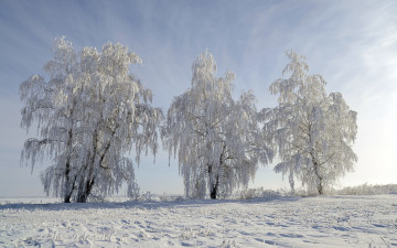 Картинка природа зима пейзаж снег