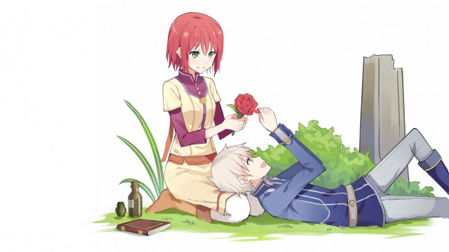 Обои картинки фото akagami no shirayuki-hime, аниме, akagami no shirayukihime, фон, взгляд, девушка, парень