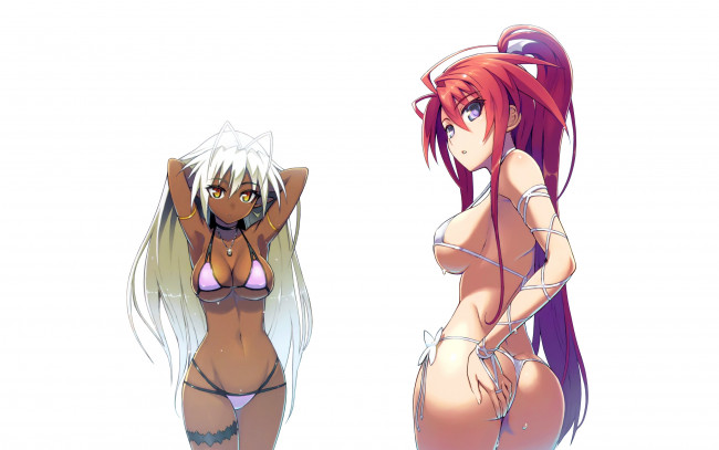 Обои картинки фото аниме, full metal daemon,  muramasa, девушки