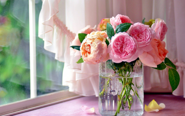 Обои картинки фото цветы, розы, ваза, букет, лепестки