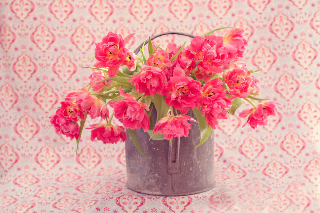 Обои картинки фото цветы, тюльпаны, фон, лейка, букет