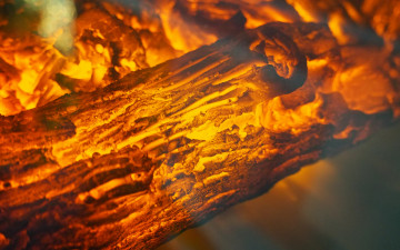 Картинка природа огонь полено пламя