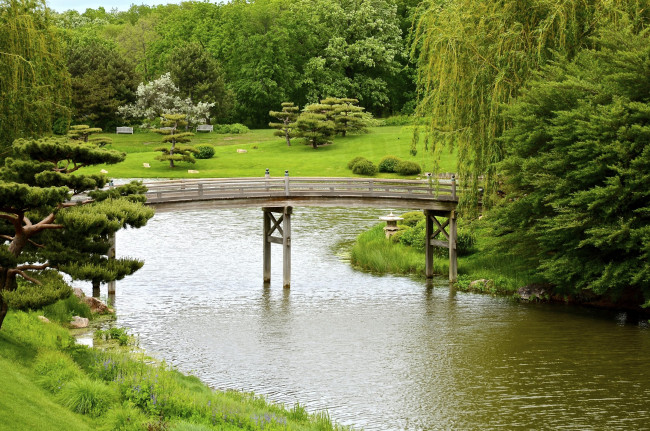 Обои картинки фото природа, парк, пруд, мостик