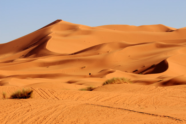 Обои картинки фото природа, пустыни, пустыня, песок