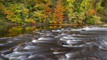 Картинка природа реки озера камни стремнина река осень лес